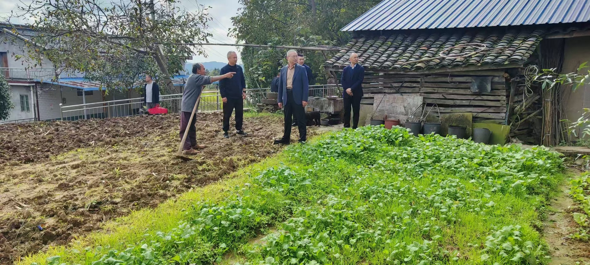 2025103110500608.jpg 2025103110500608.jpg